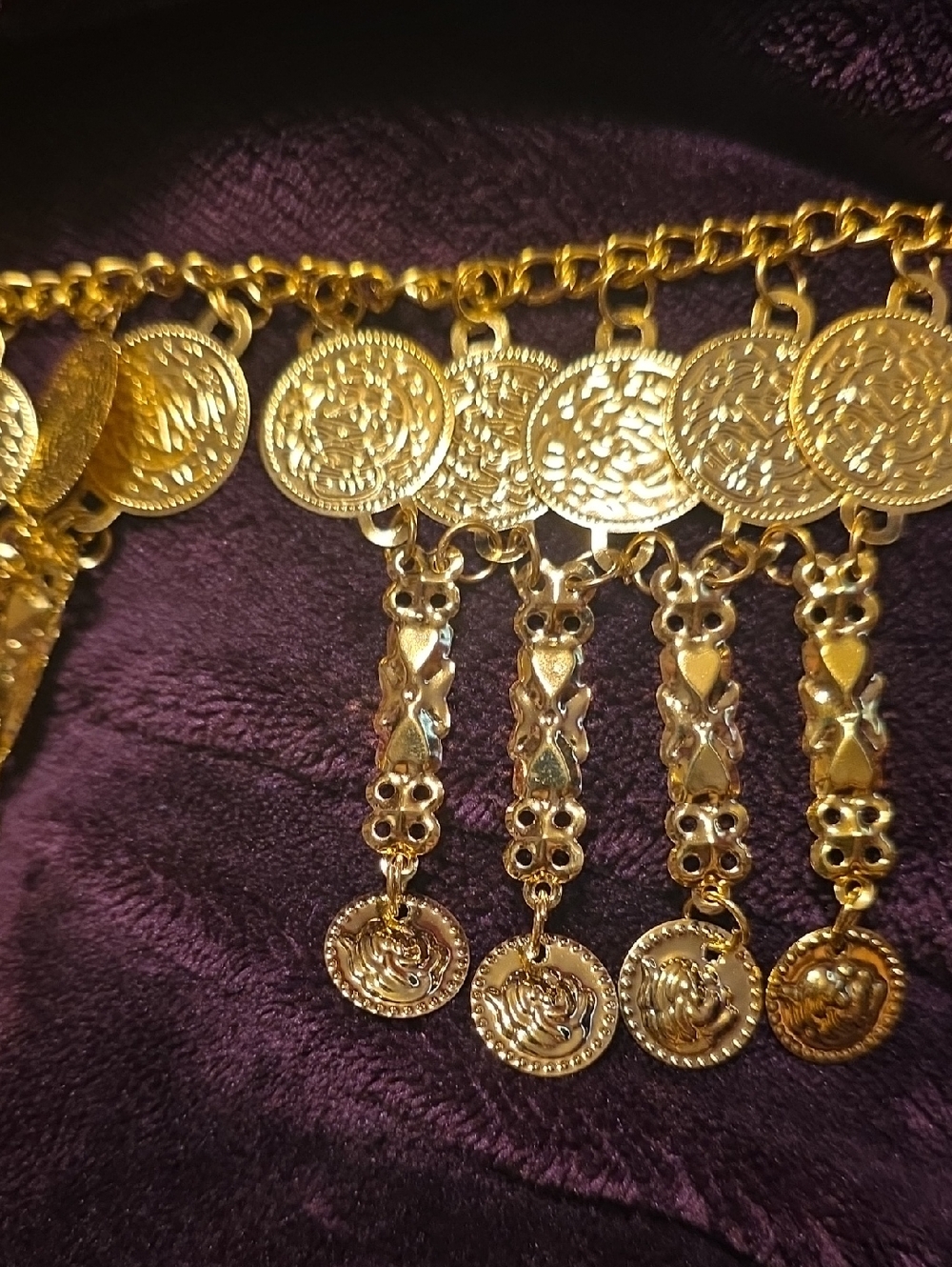 Gold Coin Fringe Belly Dancer Belt
